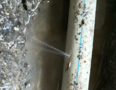 临泽测漏水哪家好