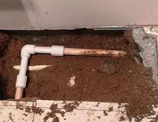 临泽测漏水哪家好