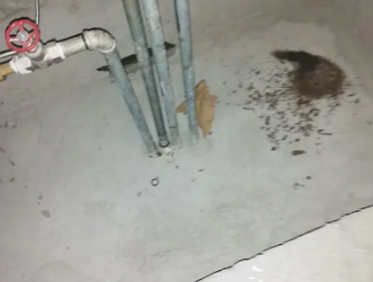 临泽卫生间测漏水价格明细