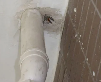 临泽漏水检测哪家好